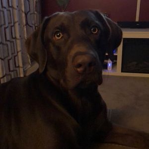 Meet your Posher, Rachel